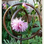 Terri Foley Harrison - @creativedesignbyterri - Instagram