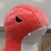 Terri_Frank - @frank_angy_dino - TikTok
