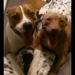 Terri Frederick Coffee - @tlcoffee22 - Instagram