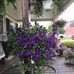 Terri Fritts - Facebook
