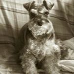 Terri Fritts Stapleton - @frittsstapleton - Instagram