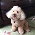 Terri Ring Fritts - @terrifritts - Instagram