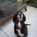 Teri Gerber - Facebook