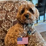 Teri Gerber - @teriagerber - Instagram