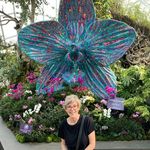 Terri Gerber - @gerber1707 - Instagram