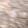 TerriGill2000 - @terrigis - TikTok