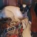 Teresa Gilpin - Facebook