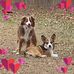 Teri Gilpin - Facebook