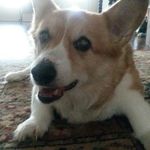 Teri Gilpin - @gilpinteri - Instagram