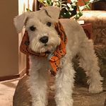 Terri Gilpin - @bluebirdymama - Instagram