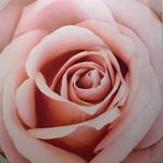 Terri Goddard-Kanik - @pugetsoundpmu.terri - Instagram