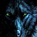 Terri Good - @terri_good_5460 - Instagram