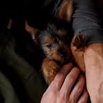 Terri Goodrich - @goodrich7201 - Instagram