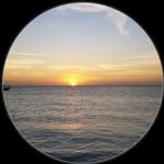 Terry Goodrich - @tlgood.8242 - Instagram