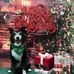 Teri Goodwin - Facebook
