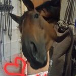 Terri Goodwin - @terri.maloney.77 - Instagram