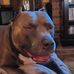 Terri Goodwin - Facebook