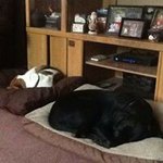 Terri Grace - @lapspinn - Instagram