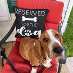 Terri Grace - @terri_grace8828 - Instagram