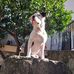Grey Terri - Facebook