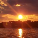 Terri Grimsley - @terrigrimsley - Instagram