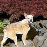 Terri Grimsley Ritter - @parkerritter - Instagram