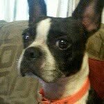 Terri guy - @tully1959 - Instagram