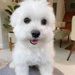Terri Guyton - @terriguyton - Instagram