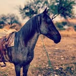 Terri Guzman - @ivans392 - Instagram