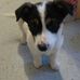 Terry Hafner - Facebook
