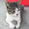 Terrie Hahn - @terrie.hahn - TikTok