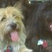 Terrie Halverson - Facebook