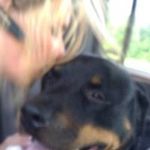 Terri Andrews Hamrick - @terrihamrick - Instagram