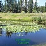 Terry hamrick - @terry.hamrick - Instagram