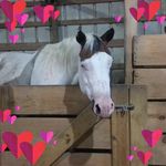Terry Hamrick - @terry.hamrick.731 - Instagram