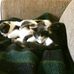Terri Hare - Facebook