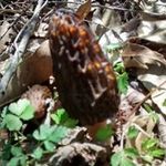 Terry Hauser - @terryhauser - Instagram
