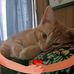 Terry Haynes - Facebook