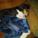 Terri Hensley - @terri.hensley.9 - Instagram