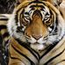 Teri Higgins - Facebook