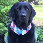 Terri Hopper - @hopper.terri - Instagram