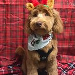 Terri Hopper Bullock - @hopperlong - Instagram