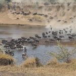 Terri Huber - @africa_and_beyond_by_terri - Instagram