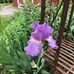 Terri Huber - Facebook