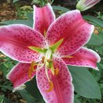 Terri Huber - @terrihuber768 - Instagram