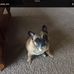 Terri Huber - Facebook