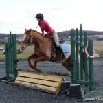 Terri Lynne Huber - @avery122333 - Instagram