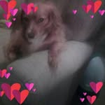 Terry Huntley - @terry.huntley.35 - Instagram