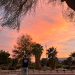 Terri Jameson Segel - @tesegel - Instagram