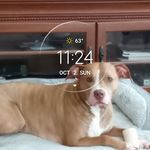 Terri Jester - @terri.jester - Instagram